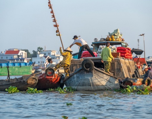 Classic Mekong Delta Tour in 2 Days