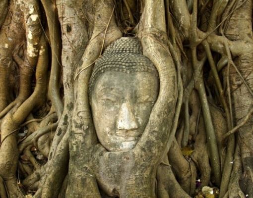 Ayutthaya Temples and River Cruise Day Trip